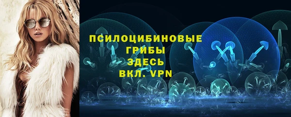 гидра Беломорск