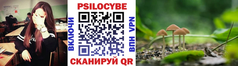 mega онион  Красный Холм  Псилоцибиновые грибы Psilocybe 